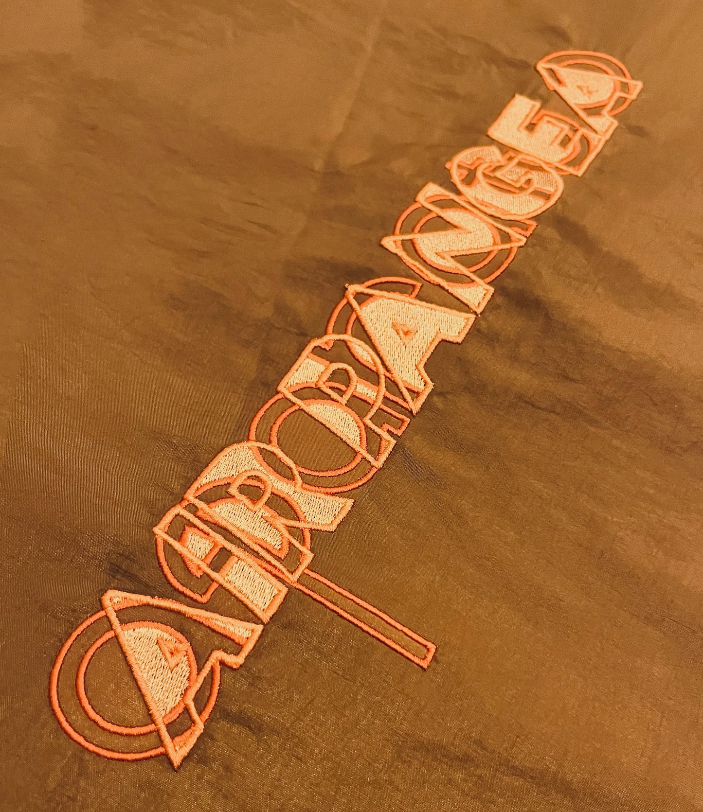 APARATUS x AIR PANGEA BACK PLATE ORANGE